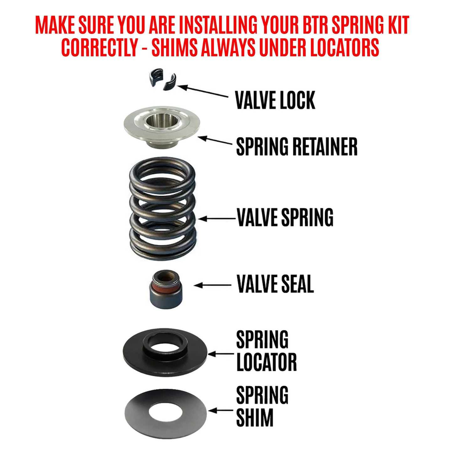 BTR LSx 0.660" Platinum Dual Spring Kit