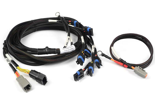 Nexus R5 V8 GM/Chrysler IGN1A Harness