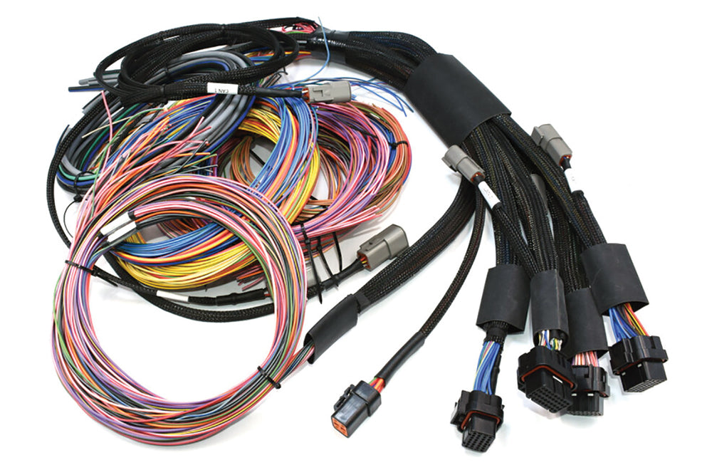 Nexus R5 Universal Wire-In Harness (8')