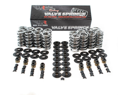 BTR LSx 0.660" Platinum Dual Spring Kit