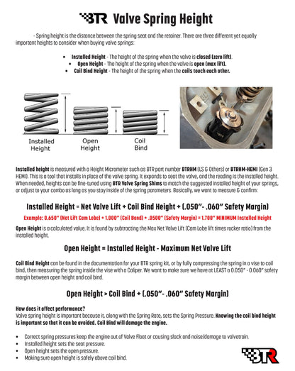 BTR LSx 0.660" Platinum Dual Spring Kit